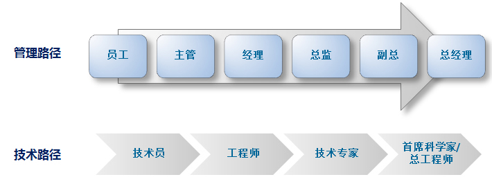 人才發(fā)展.jpg