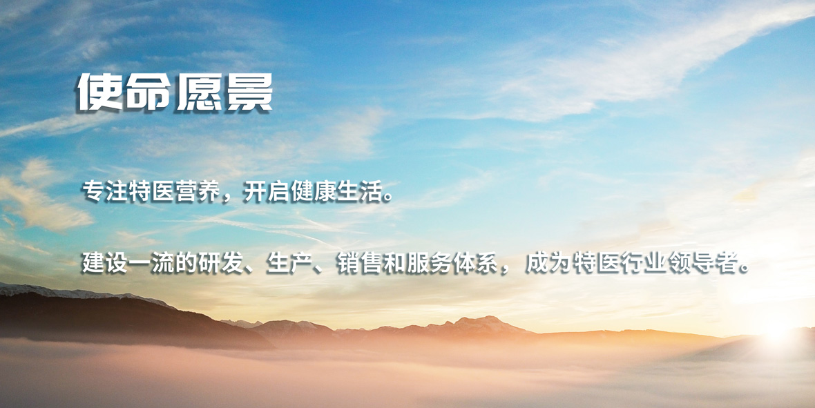恒瑞醫(yī)療使命愿景21180.jpg